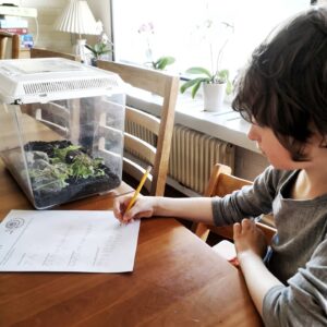 Viden om: Snegle (pdf)