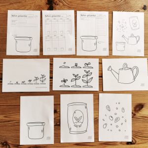 Dyrk det – tema (pdf)