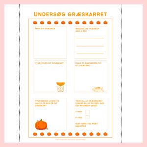 Undersøg græskarret (PDF)