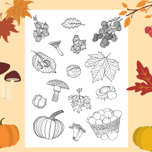 0. Den store efterårs pakke (pdf)