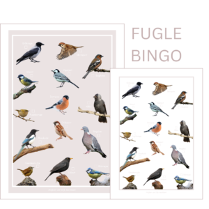 Fuglebingo (PDF)