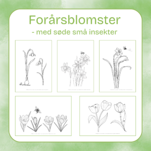 Forårsblomster (PDF)
