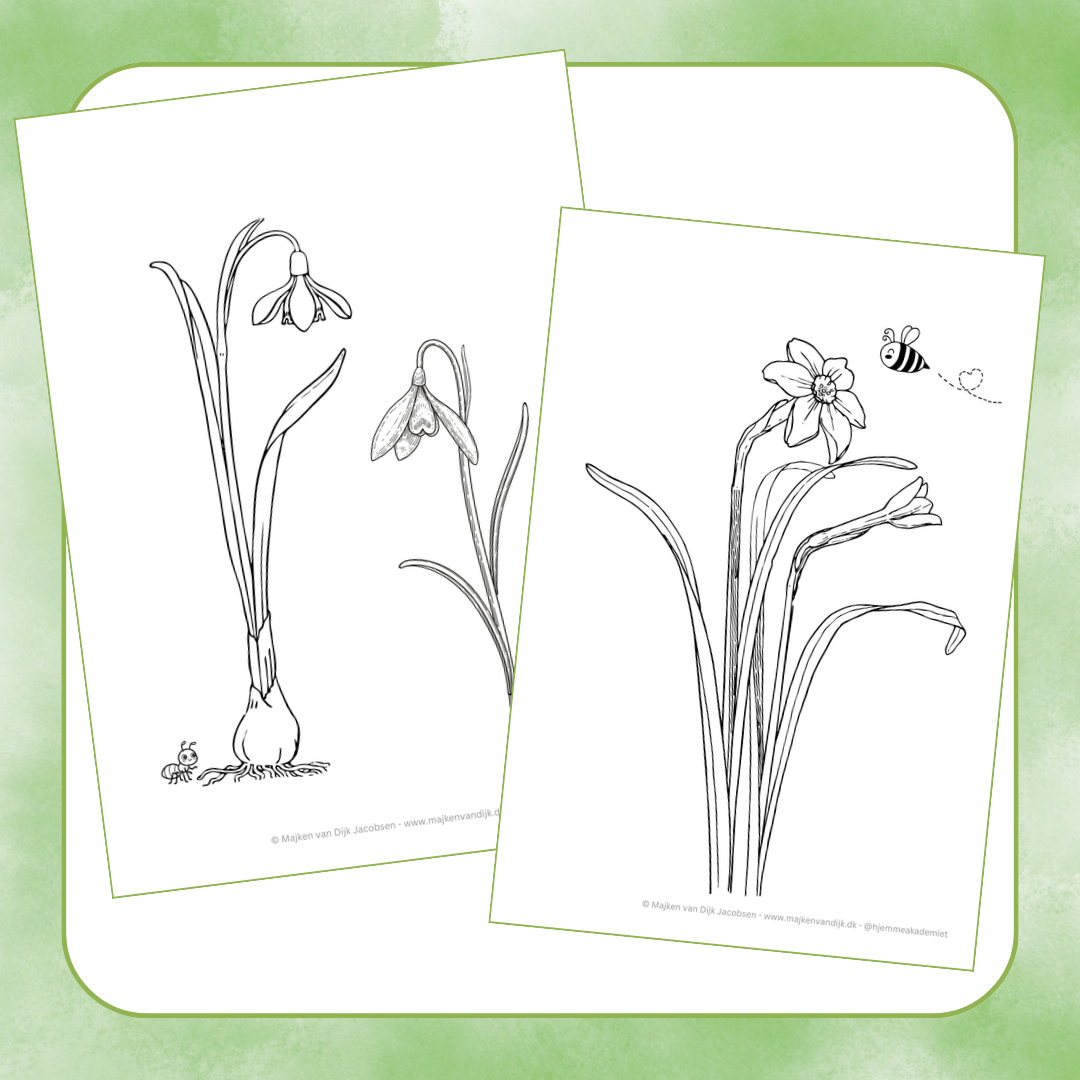 Forårsblomster (PDF) - Billede 3