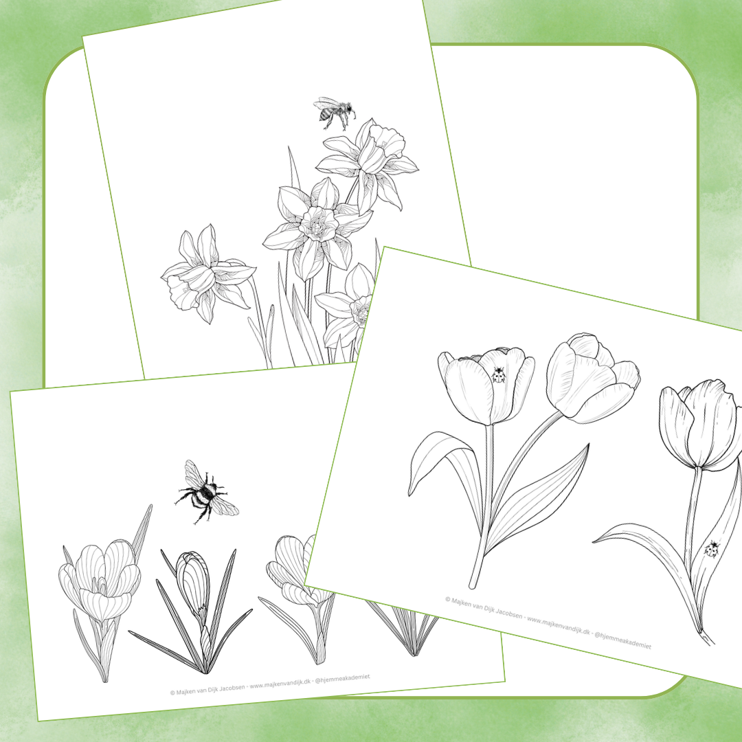 Forårsblomster (PDF) - Billede 4